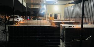 IMG-20241031-WA0008